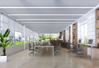 安徽海洋动物组织外泌体NTA